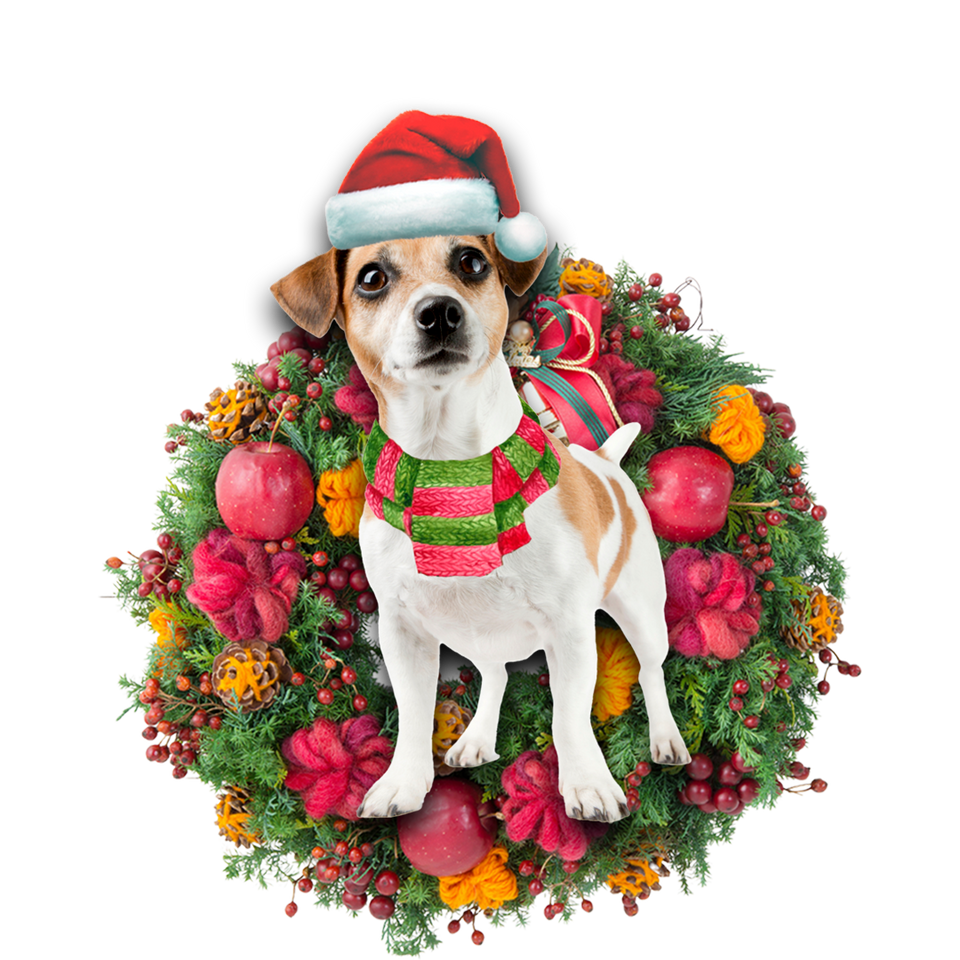 Godmerch- Ornament- Jack Russell Terrier Christmas Ornament, Happy Christmas Ornament, Car Ornament