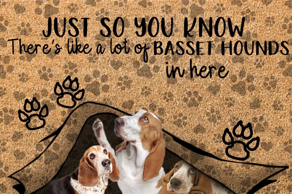 Just So You Know Basset Hound Dogs Lover Doormat Welcome Mat