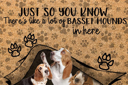 Just So You Know Basset Hound Dogs Lover Doormat Welcome Mat