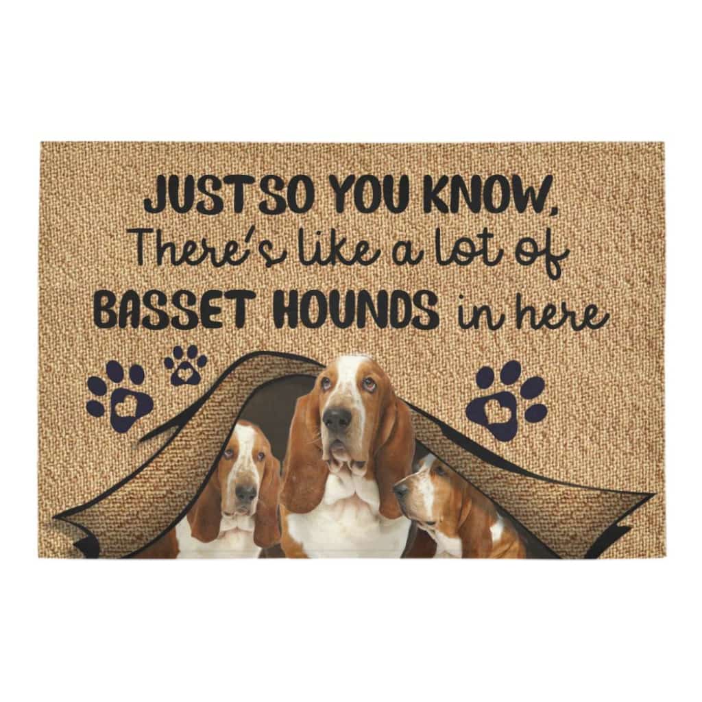 Just So You Know Basset Hound Lover Doormat Welcome Mat
