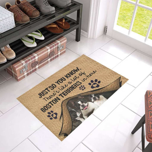 Just So You Know Boston Terriers Dog Lover Doormat Welcome Mat