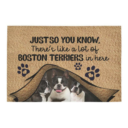 Just So You Know Boston Terriers Dog Lover Doormat Welcome Mat