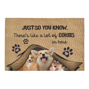 Just So You Know Corgis Dog Lover Doormat Welcome Mat