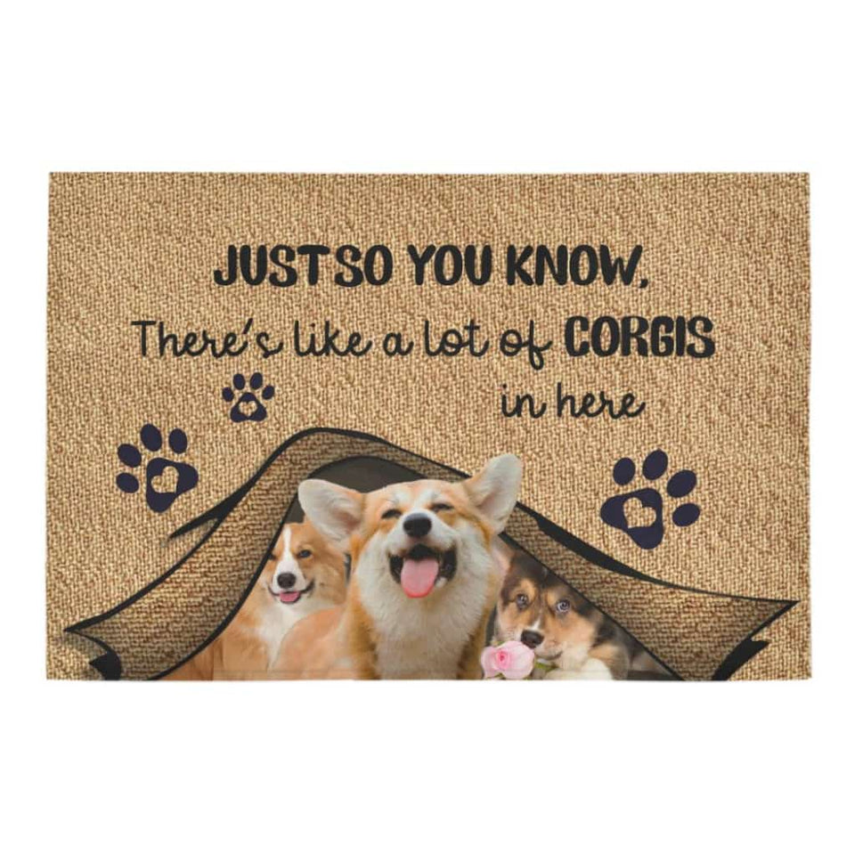 Just So You Know Corgis Dog Lover Doormat Welcome Mat