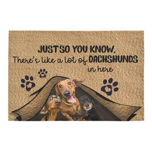 Just So You Know Dachshunds Dog Lover Doormat Welcome Mat