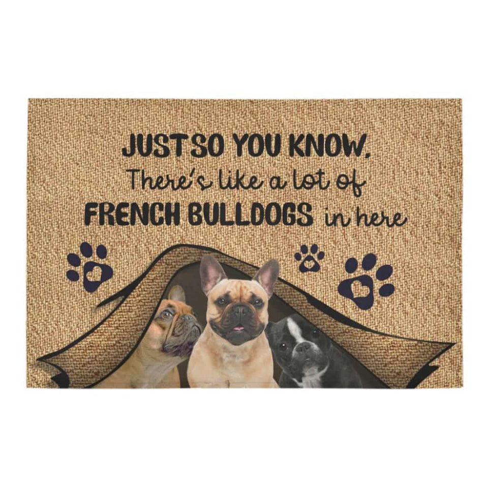 Just So You Know French Bulldogs Dog Lover Doormat Welcome Mat