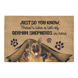 Just So You Know German Shepherds Dog Lover Doormat Welcome Mat