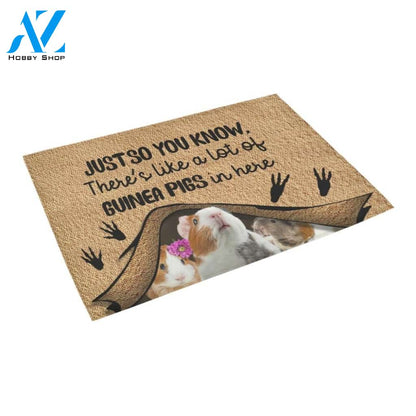 Just So You Know Guinea Pig Easy Clean Welcome DoorMat | Felt And Rubber | 40x60 cm | 45x75 cm | 60x90 cm | Colorful | DO1405
