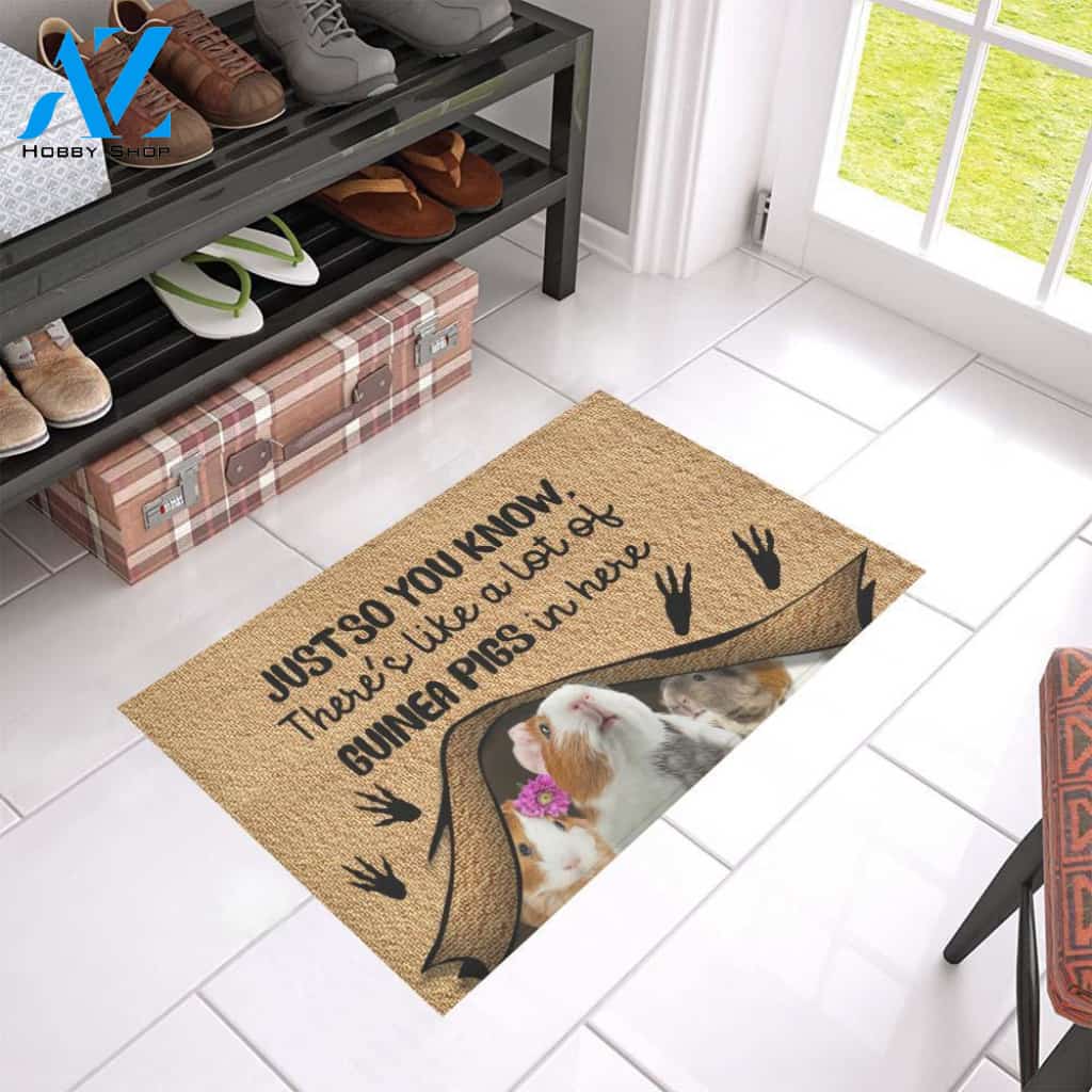 Just So You Know Guinea Pig Easy Clean Welcome DoorMat | Felt And Rubber | 40x60 cm | 45x75 cm | 60x90 cm | Colorful | DO1405