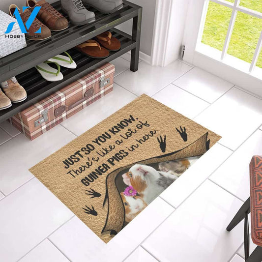 Just So You Know Guinea Pig Easy Clean Welcome DoorMat | Felt And Rubber | 40x60 cm | 45x75 cm | 60x90 cm | Colorful | DO1405