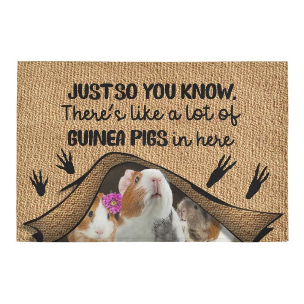 Just So You Know Guinea Pigs Lover Doormat Welcome Mat