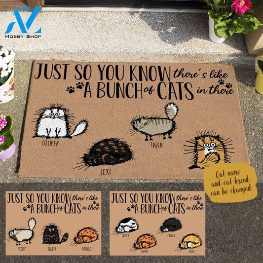 Fluffy Cat Just So You Know There's Like A Bunch Of Cats In There Custom Name Printed Doormat Home Decor