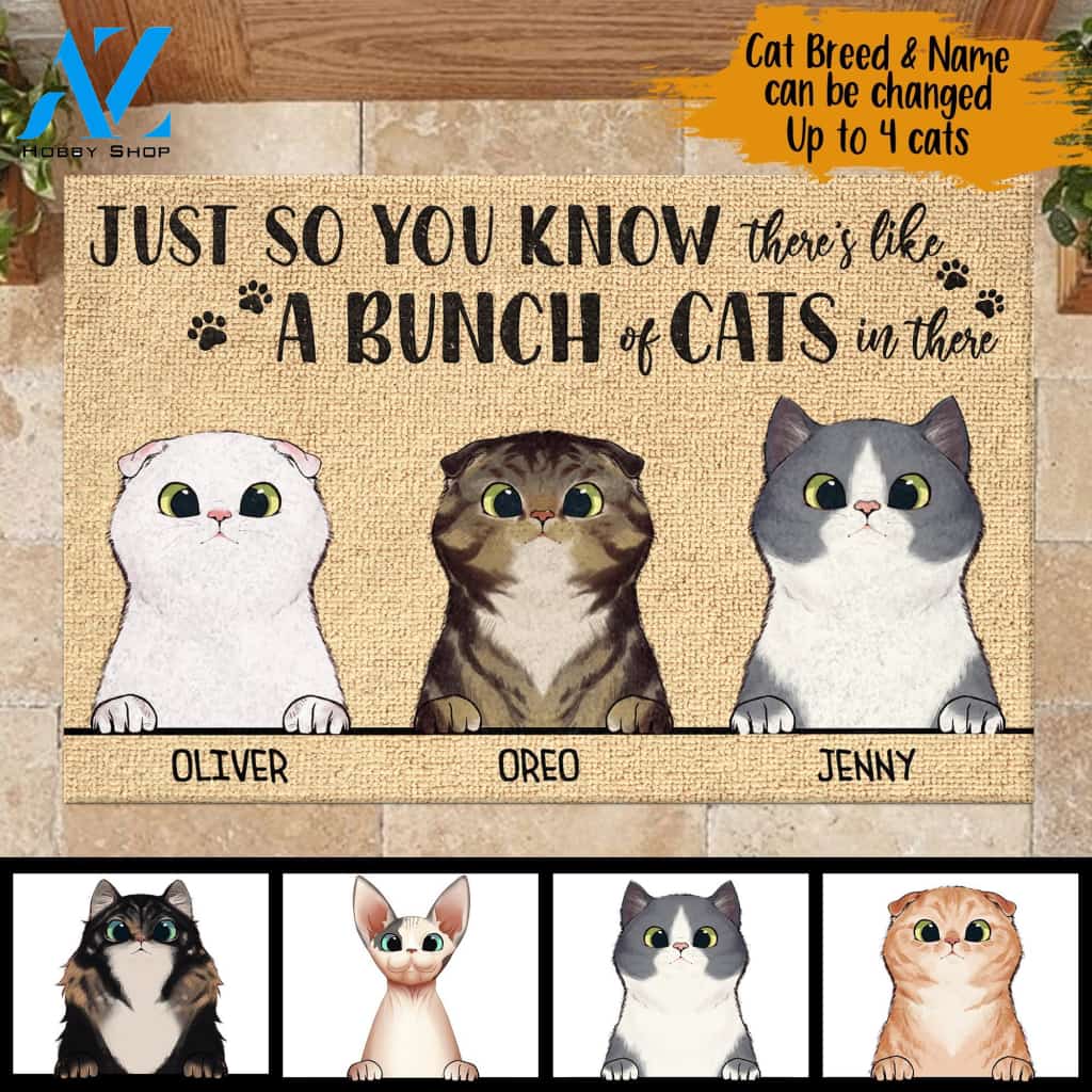 Just So You Know There's Like A Bunch Of Cats In There - Funny Personalized Cat Doormat | WELCOME MAT | HOUSE WARMING GIFT