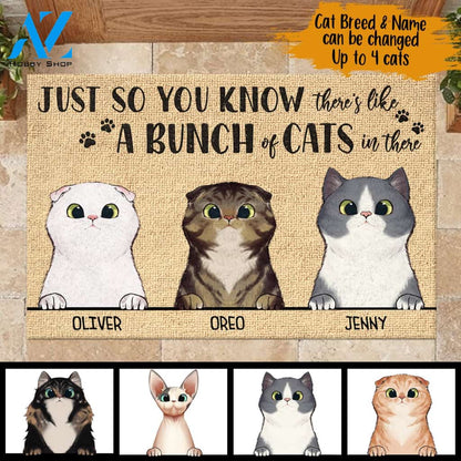 Just So You Know There's Like A Bunch Of Cats In There - Funny Personalized Cat Doormat | WELCOME MAT | HOUSE WARMING GIFT