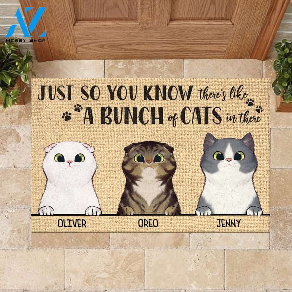 Just So You Know There's Like A Bunch Of Cats In There - Funny Personalized Cat Doormat | Welcome Mat | House Warming Gift