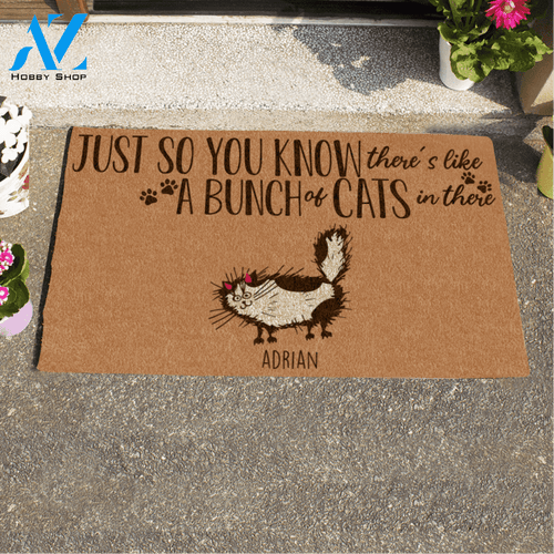 Just So You Know There's Like A Bunch Of Cats In There Printed Doormat Home Decor