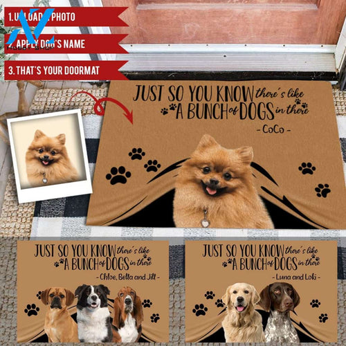 Just So You Know There's Like A Bunch Of Dogs In There Printed Doormat Home Decor