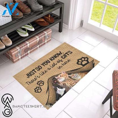 Just so you know there's like a lot of cats in here doormat