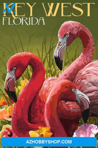 Key West Florida Flamingos