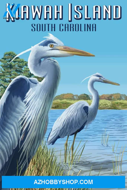 Kiawah Island South Carolina - Blue Herons