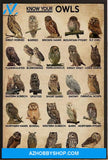 Know Your Owls Canvas And Poster, Wall Decor Visual Art