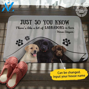 Labrado Just so You Know Doormat