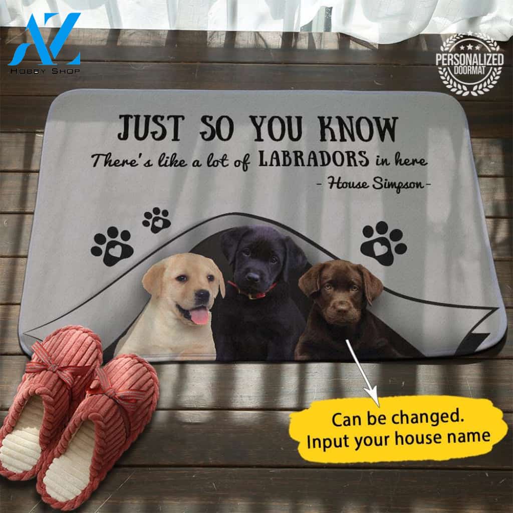 Labrado Just so You Know Doormat