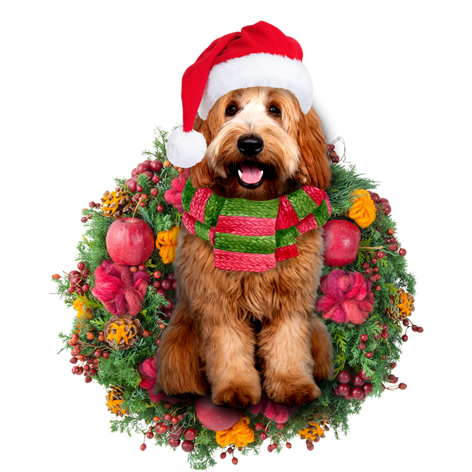 Godmerch- Ornament- Labradoodle Christmas Ornament, Happy Christmas Ornament, Car Ornament