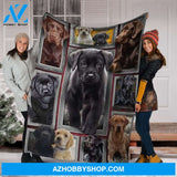 Labrador 3D Fleece Blanket