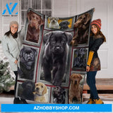 Labrador 3D Fleece Blanket
