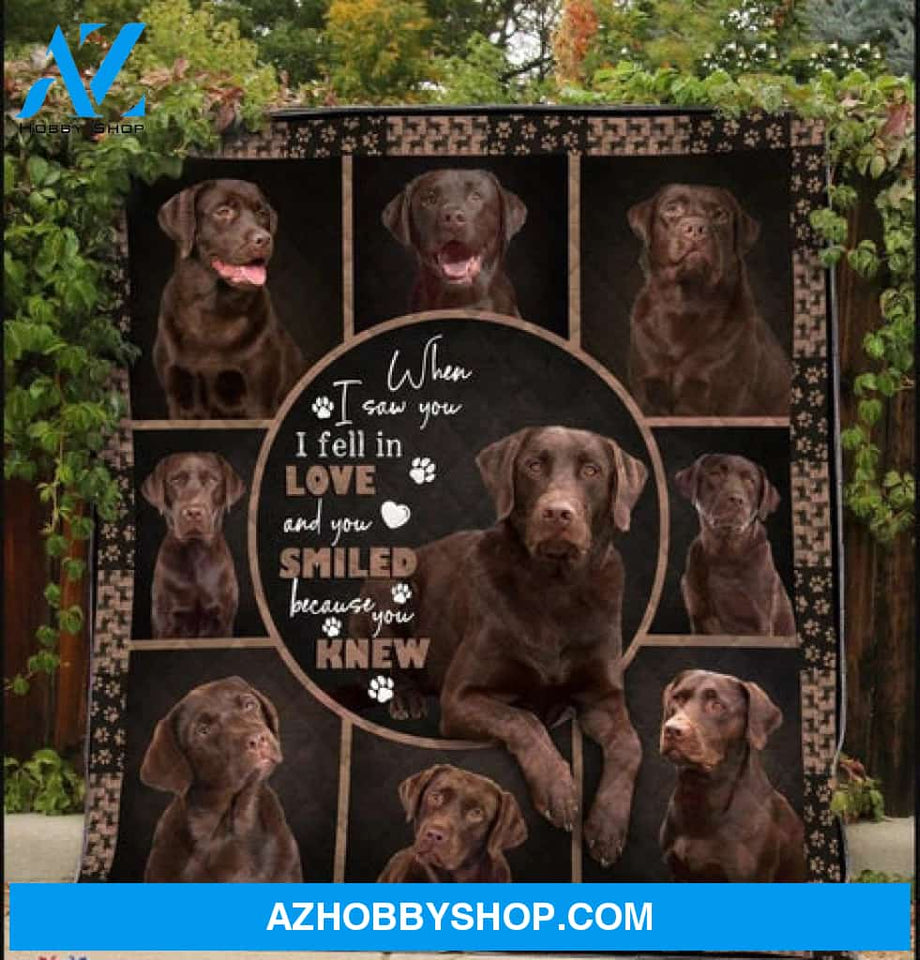 Labrador Blanket, When I Saw You I Fell In Love And You Smiled Because You Knew Chocolate Labrador Dog