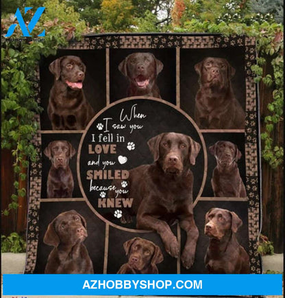 Labrador Blanket, When I Saw You I Fell In Love And You Smiled Because You Knew Chocolate Labrador Dog