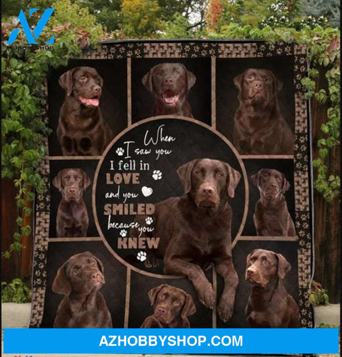 Labrador Blanket, When I Saw You I Fell In Love And You Smiled Because You Knew Chocolate Labrador Dog