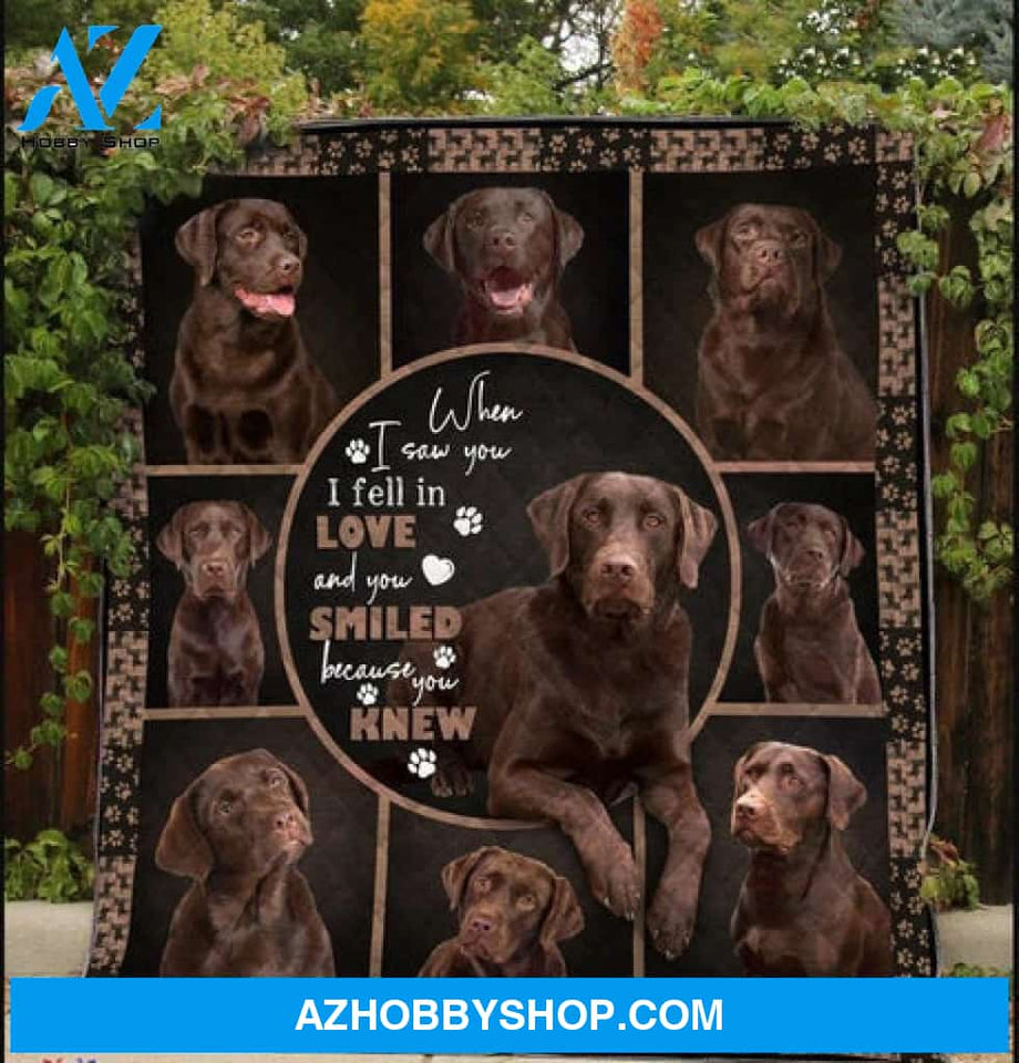 Labrador Blanket, When I Saw You I Fell In Love And You Smiled Because You Knew Chocolate Labrador Dog