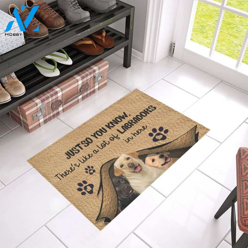 Labrador Dog Easy Clean Welcome DoorMat | Felt And Rubber | 40x60 cm | 45x75 cm | 60x90 cm | Colorful | DO1387