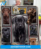 Labrador - Labardors Are Angels Blanket Gift For Labrador Family Friend Birthday Gift Home Decor Bedding Couch Sofa Soft And Comfy Cozy