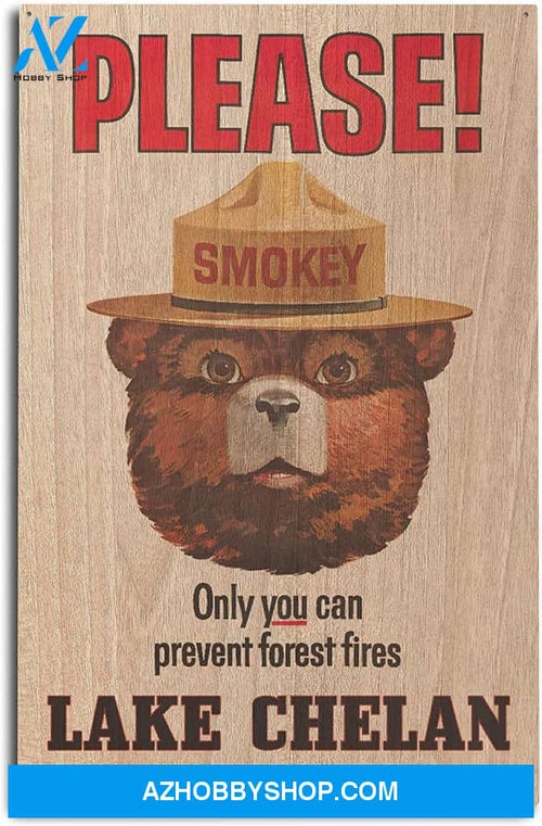 Lake Chelan Washington Smokey Bear Only You Vintage Poster 