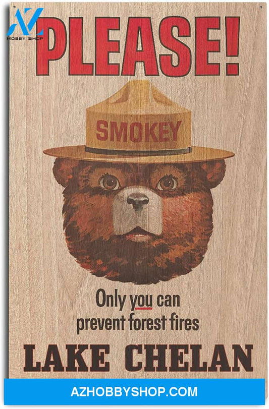 Lake Chelan Washington Smokey Bear Only You Vintage Poster 