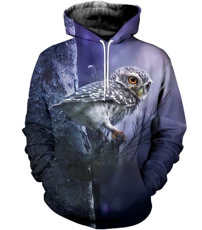 Owl Owl The Time Unisex 3d Hoodie