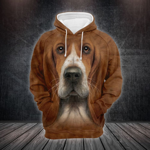 Basset Hound Brown Basset Hound Unisex 3d Hoodie