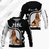 Gift For Dog Lover Bloodhound Unisex 3d Hoodie