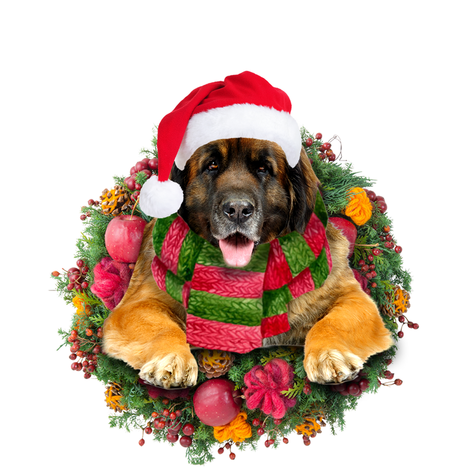 Godmerch- Ornament- Leonberger Christmas Ornament, Happy Christmas Ornament, Car Ornament