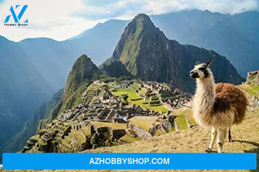Llama At Machu Picchu In Peru
