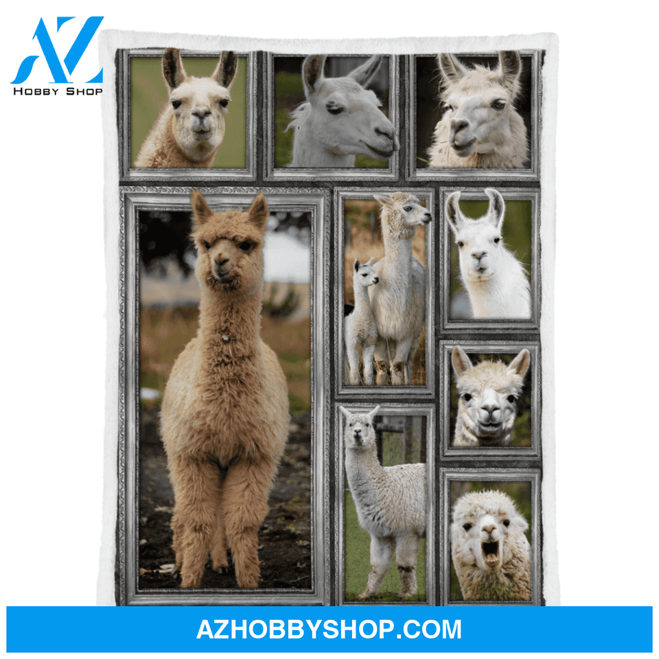 Llama Blanket, Llama In The Field Blanket, Fleece Blanket Lightweight Soft, Blanket Gift for Your Love One, Birthday Gift Home Decor Bedding Couch Sofa Soft and Comfy Cozy