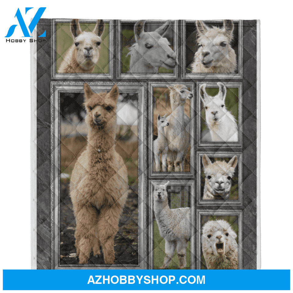 Llama Blanket, Llama In The Field Blanket, Fleece Blanket Lightweight Soft, Blanket Gift for Your Love One, Birthday Gift Home Decor Bedding Couch Sofa Soft and Comfy Cozy