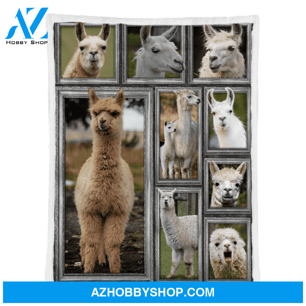Llama Blanket, Llama In The Field Blanket, Fleece Blanket Lightweight Soft, Blanket Gift for Your Love One, Birthday Gift Home Decor Bedding Couch Sofa Soft and Comfy Cozy