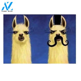 Llama Couple Funny Doormat Floor Mats Rugs Indoor and Outdoor Doormat Warm House Gift Welcome Mat Gift for Friend Family