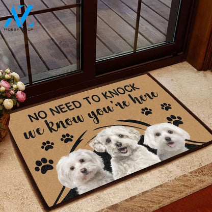 Maltese No Need To Knock - Dog Doormat | Welcome Mat | House Warming Gift