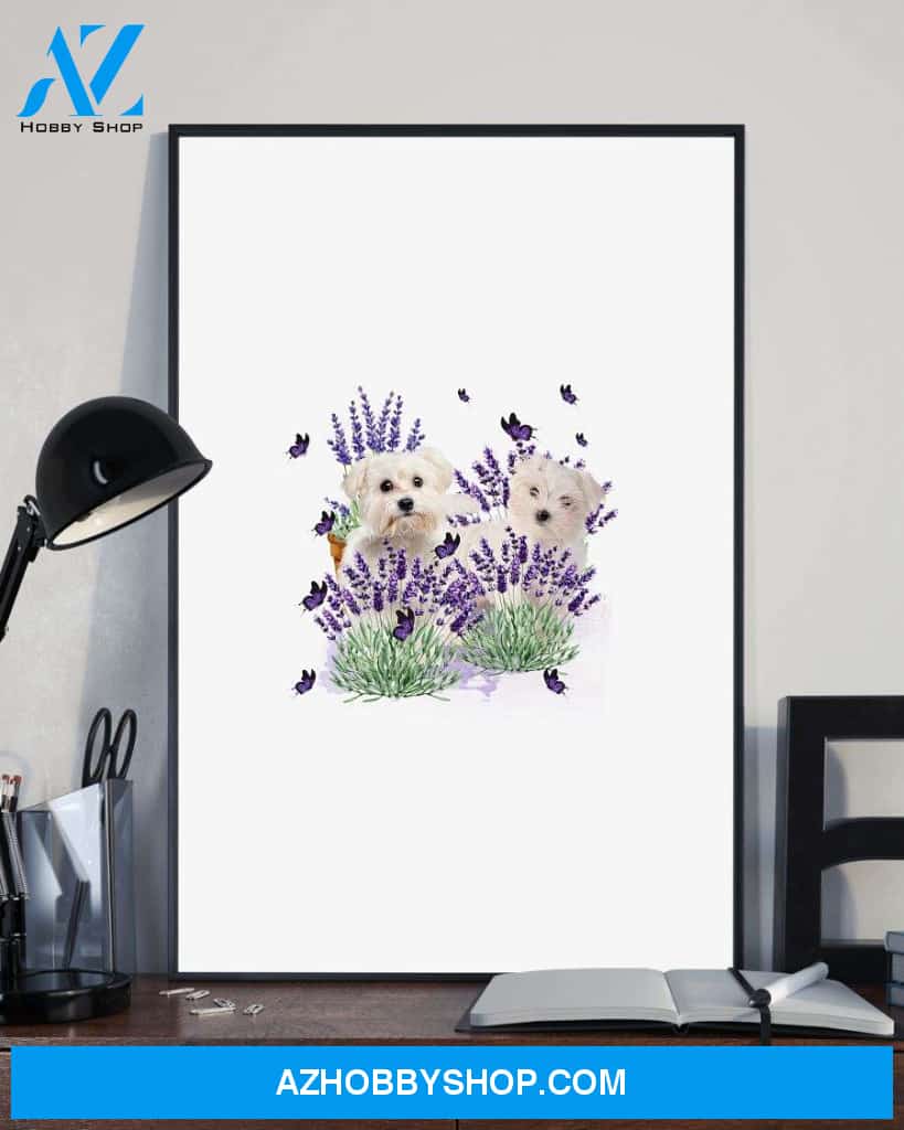 Maltese with lavender flower poster