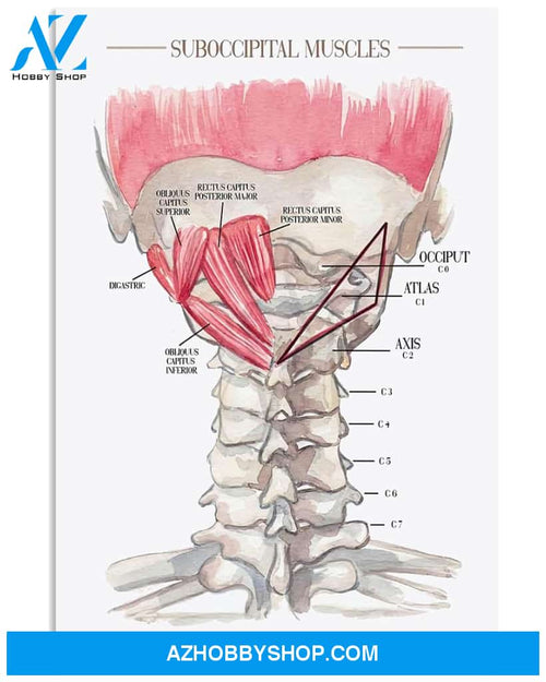 Massage Therapist Poster Suboccipital Muscles Wall Decor